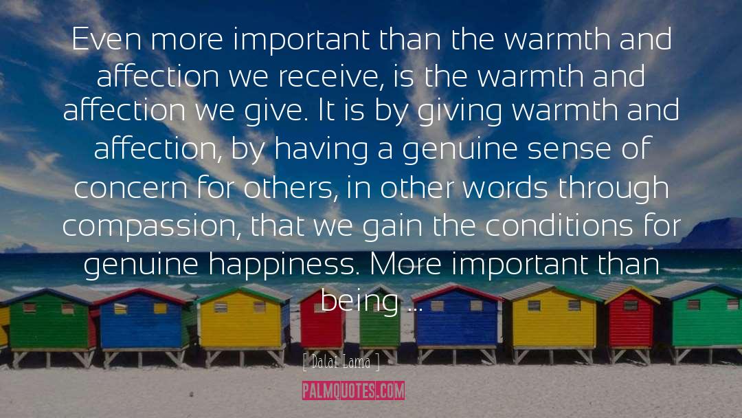 Genuine Happiness quotes by Dalai Lama