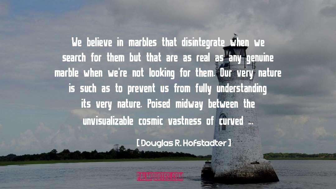 Genuine Happiness quotes by Douglas R. Hofstadter
