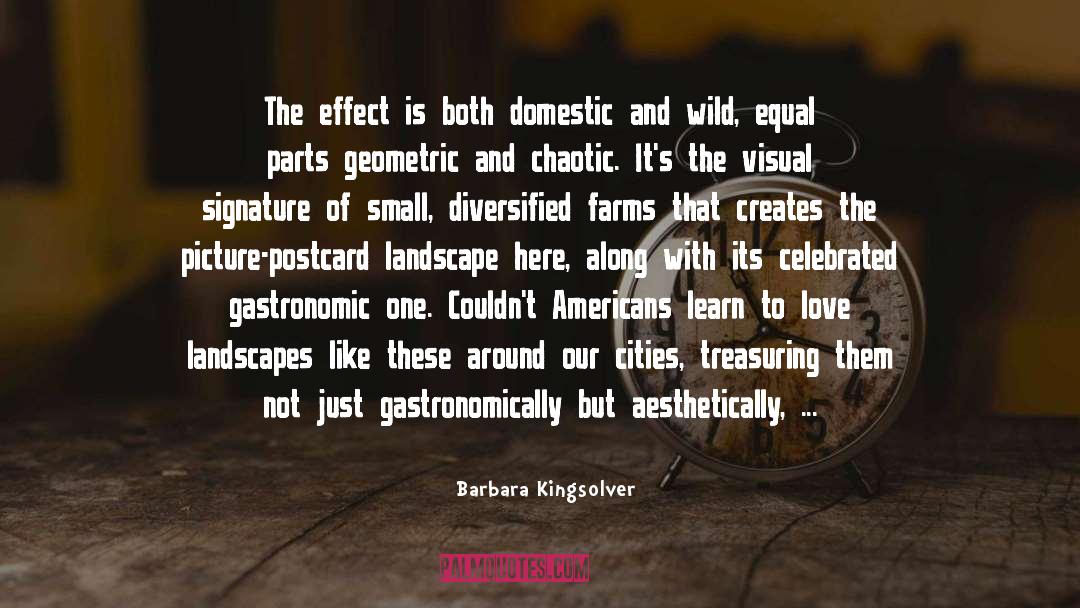 Geometric quotes by Barbara Kingsolver