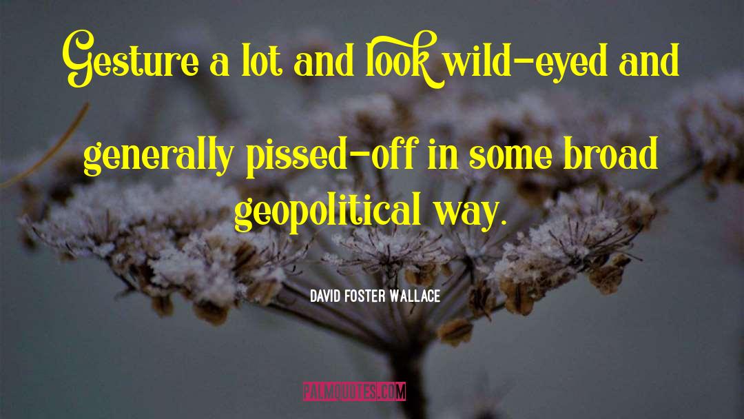 Geopolitical quotes by David Foster Wallace