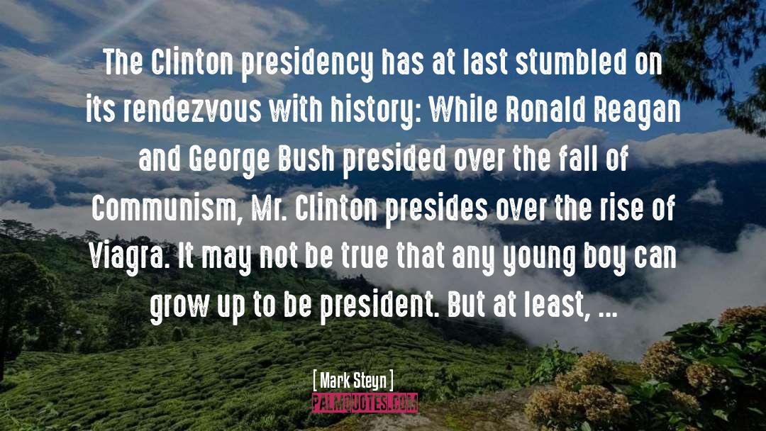 George Bush quotes by Mark Steyn