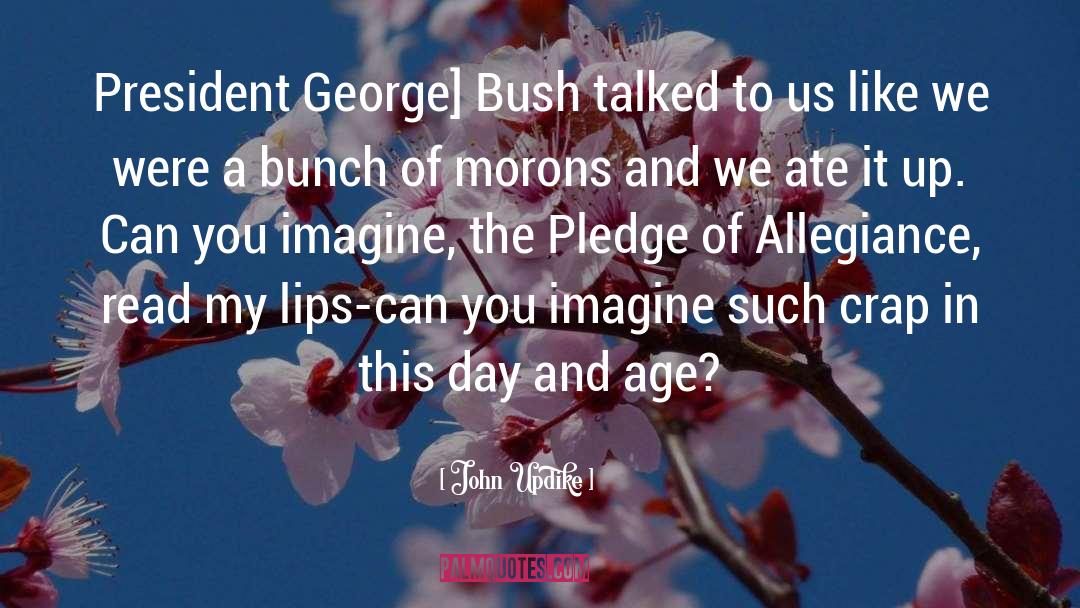 George Bush quotes by John Updike
