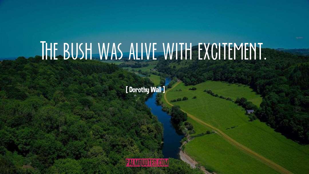 George Hw Bush quotes by Dorothy Wall