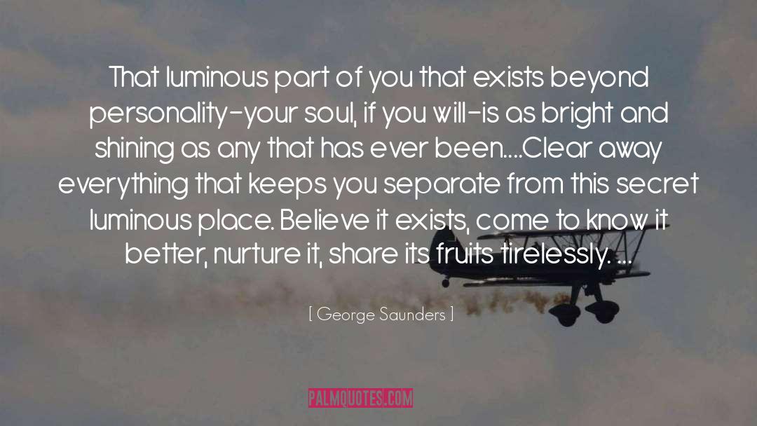 George Saunders quotes by George Saunders