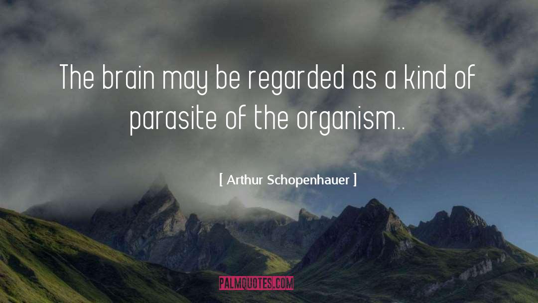 German Occupation quotes by Arthur Schopenhauer