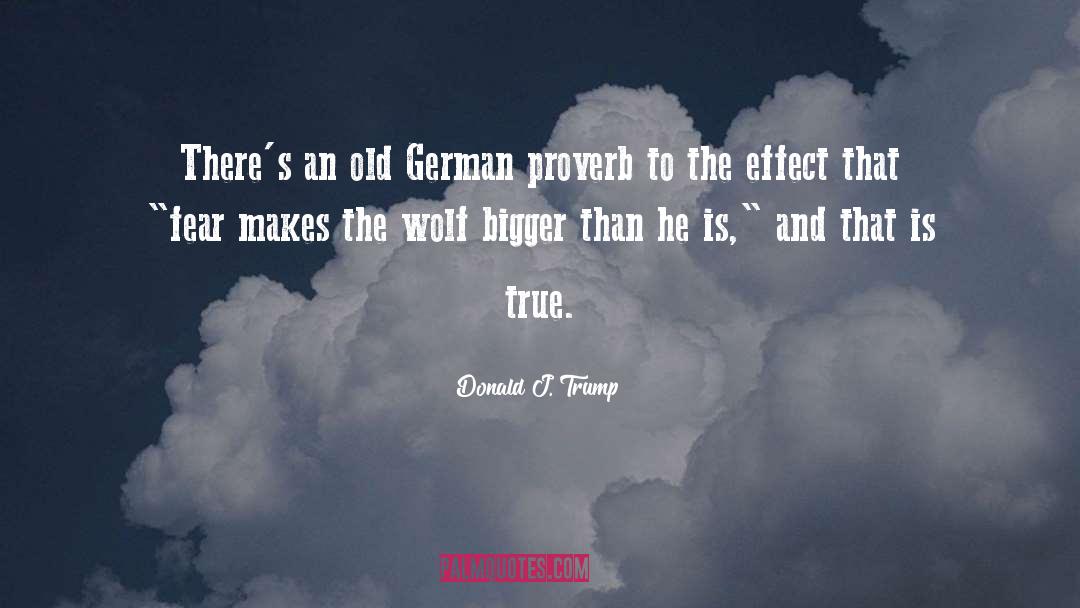 German Proverb quotes by Donald J. Trump