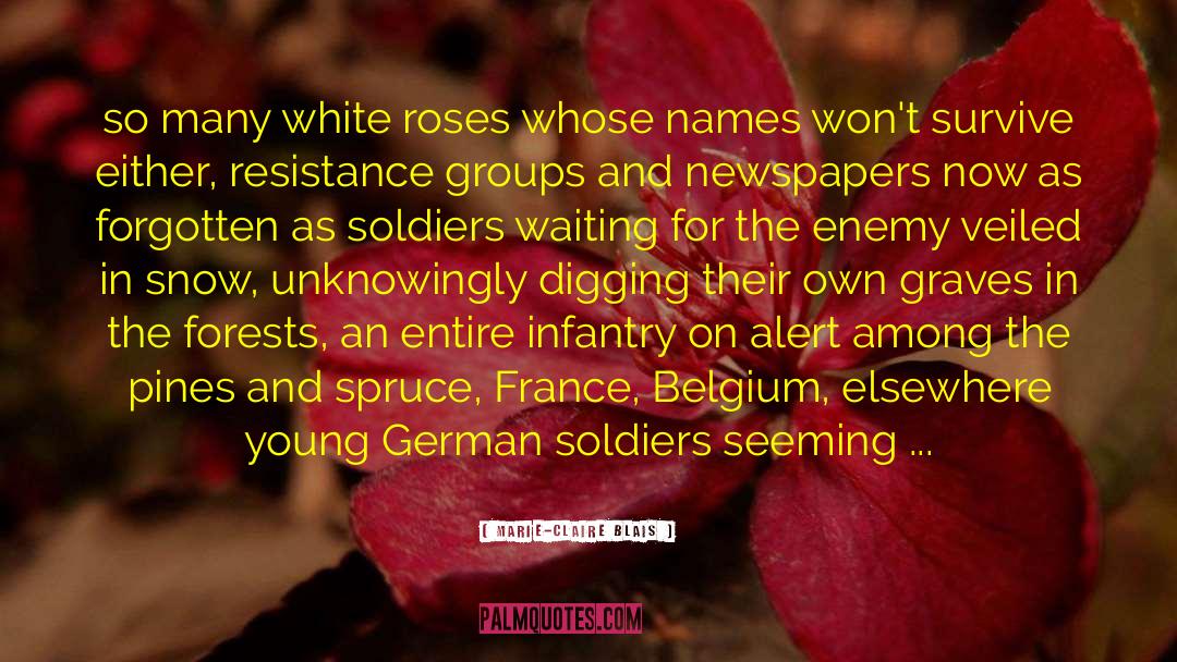 German Soldiers quotes by Marie-Claire Blais