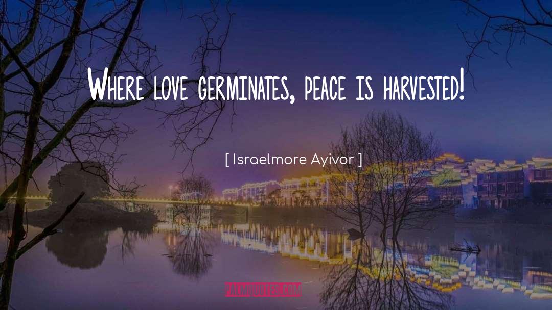 Germinate quotes by Israelmore Ayivor