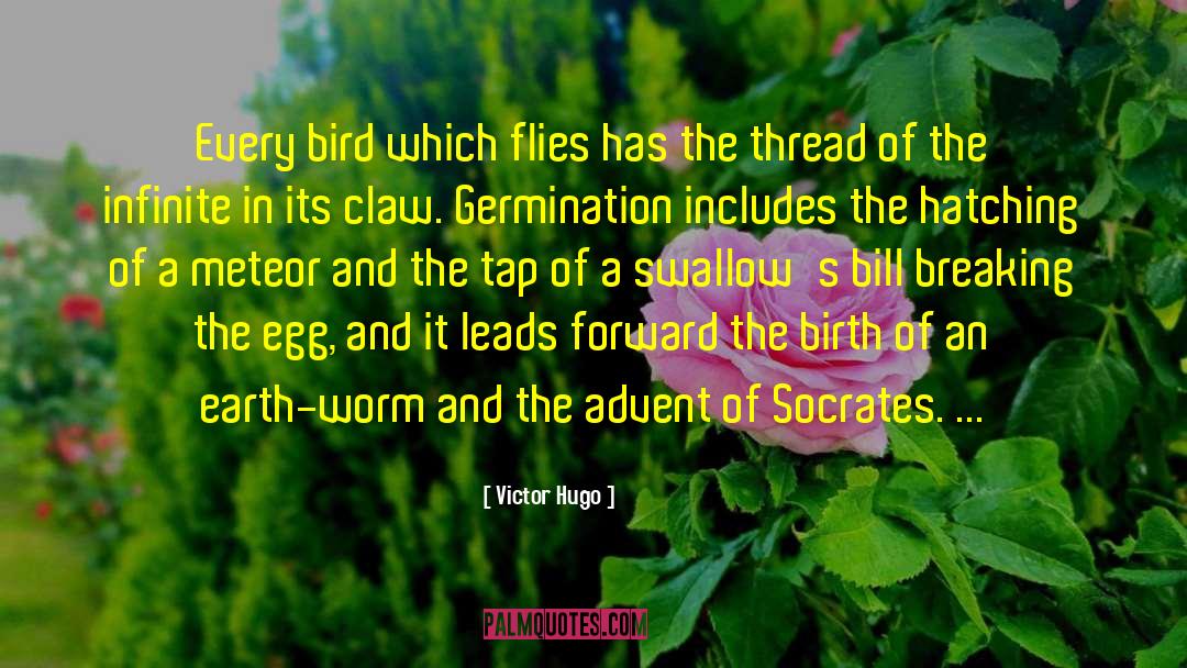 Germination quotes by Victor Hugo