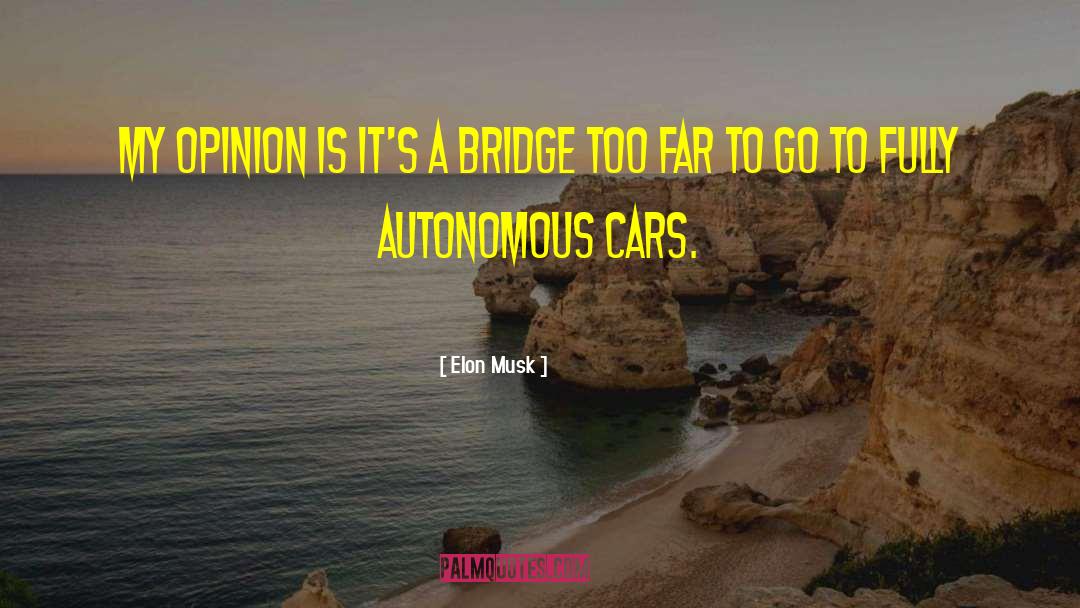 Gerrys Used Cars quotes by Elon Musk