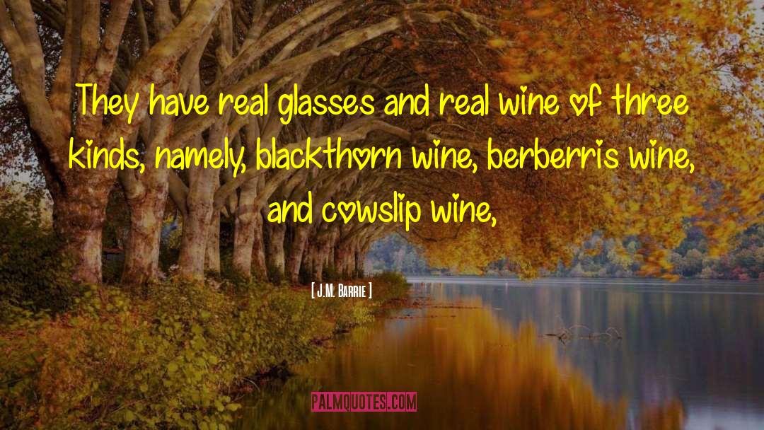 Geschickt Wine quotes by J.M. Barrie