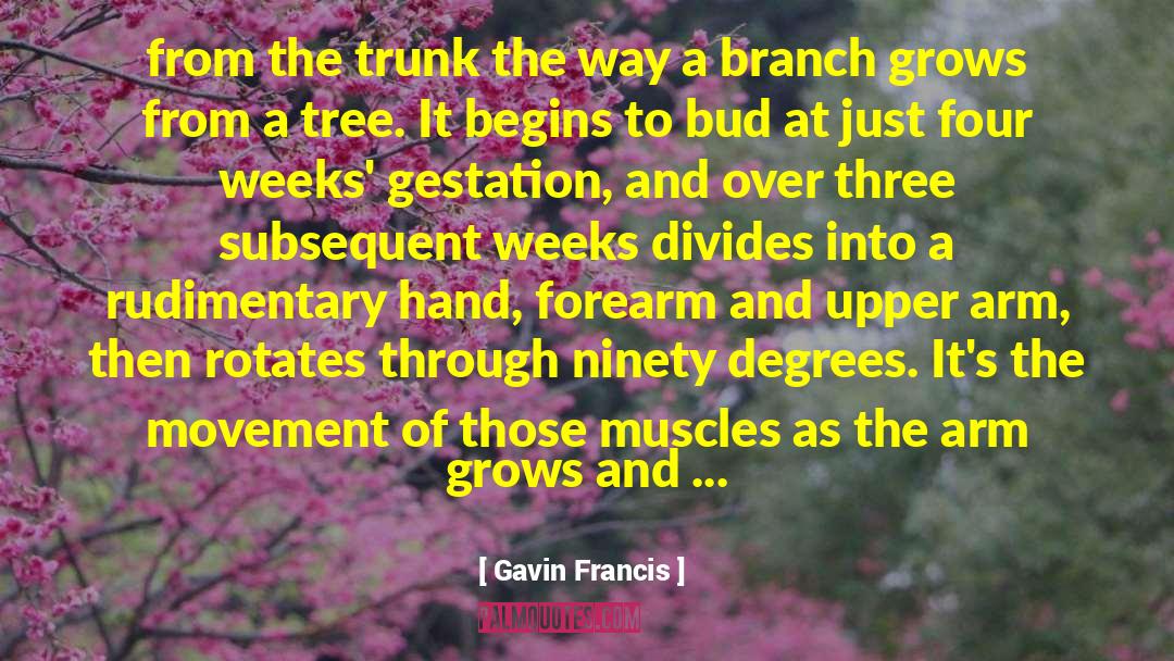 Gestation quotes by Gavin Francis