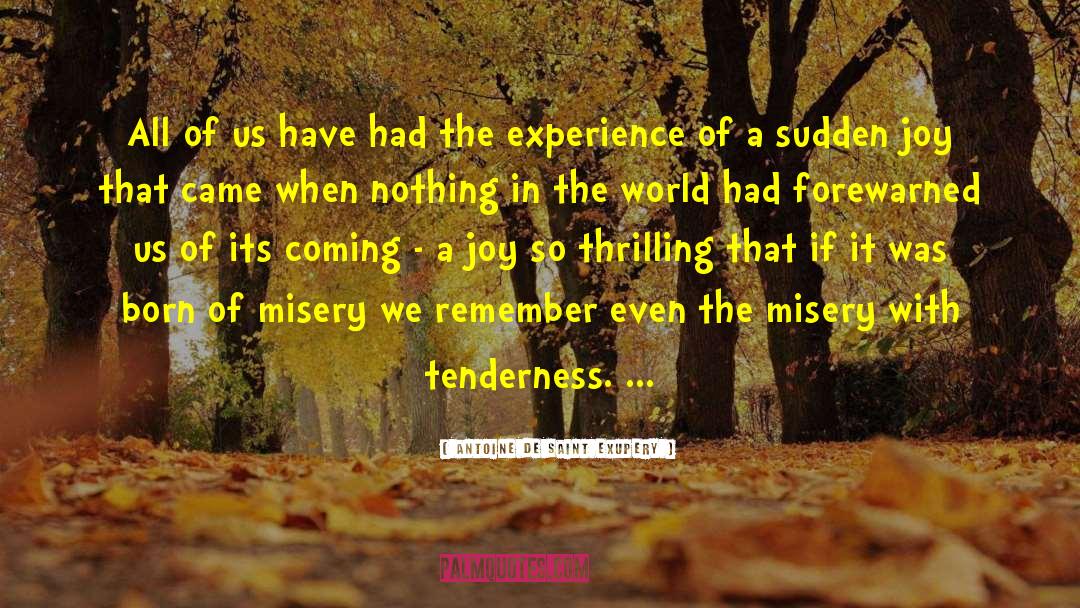 Gesture Of Tenderness quotes by Antoine De Saint Exupery