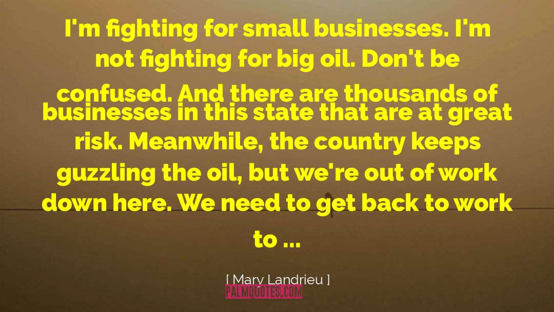 Get Back Together quotes by Mary Landrieu