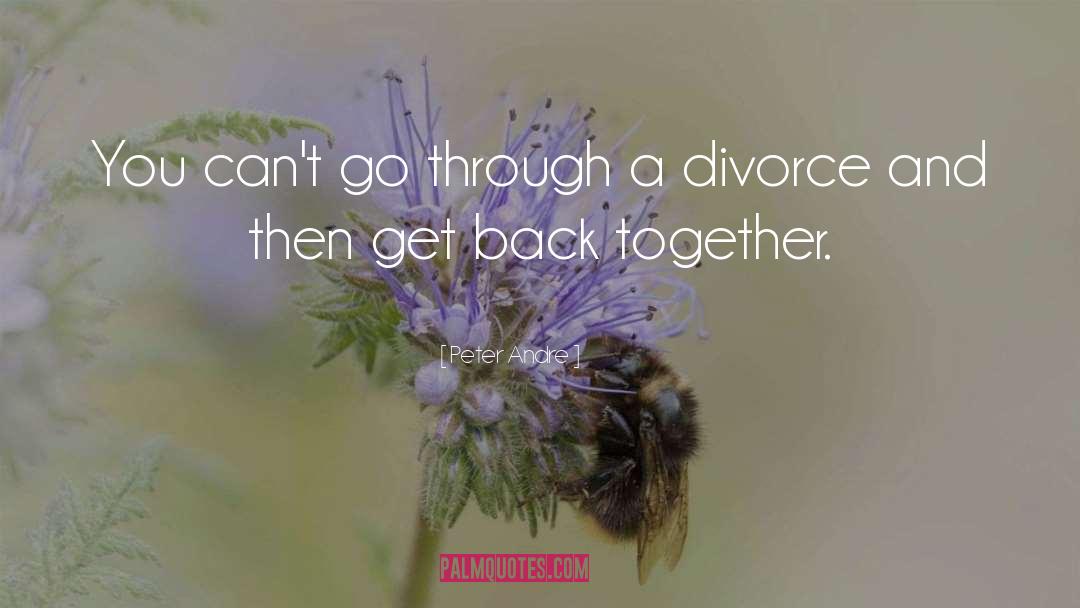 Get Back Together quotes by Peter Andre