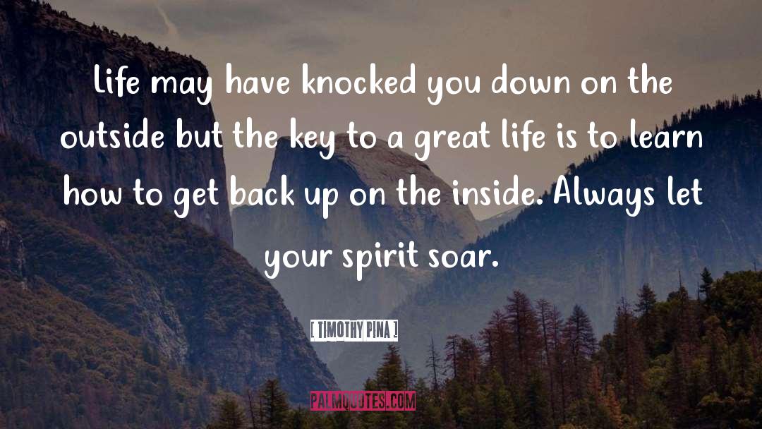 Get Back Up quotes by Timothy Pina