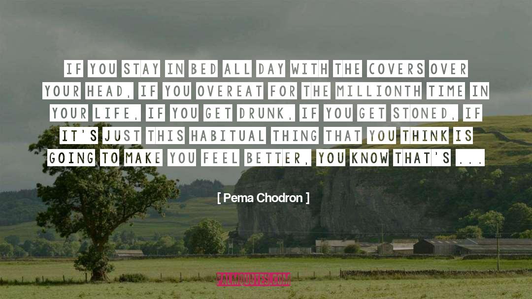 Get Drunk quotes by Pema Chodron