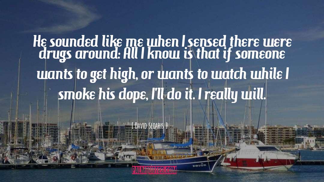 Get High quotes by David Sedaris