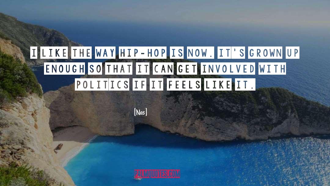 Get Involved quotes by Nas