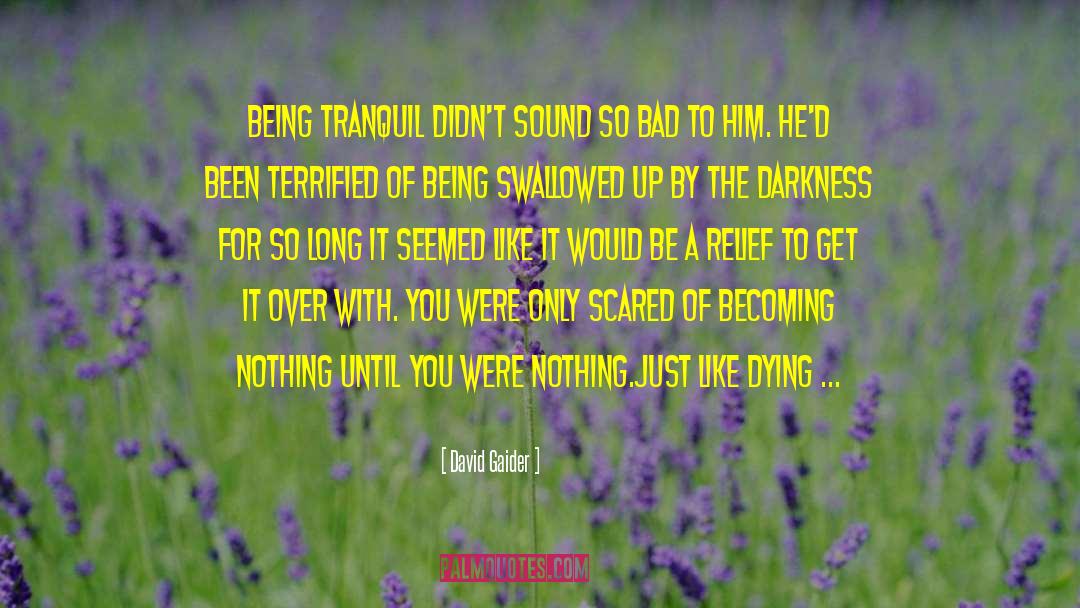 Get It Over With quotes by David Gaider