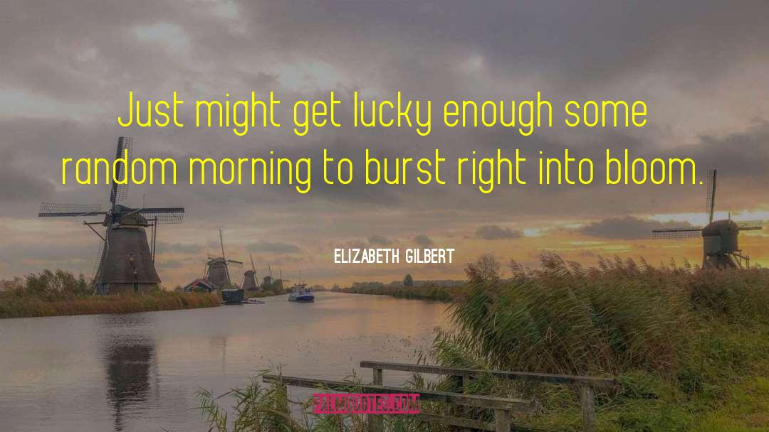 Get Lucky quotes by Elizabeth Gilbert