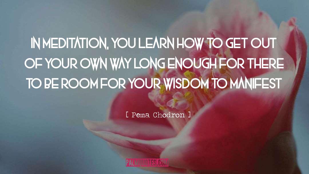 Get Out Of Your Own Way quotes by Pema Chodron