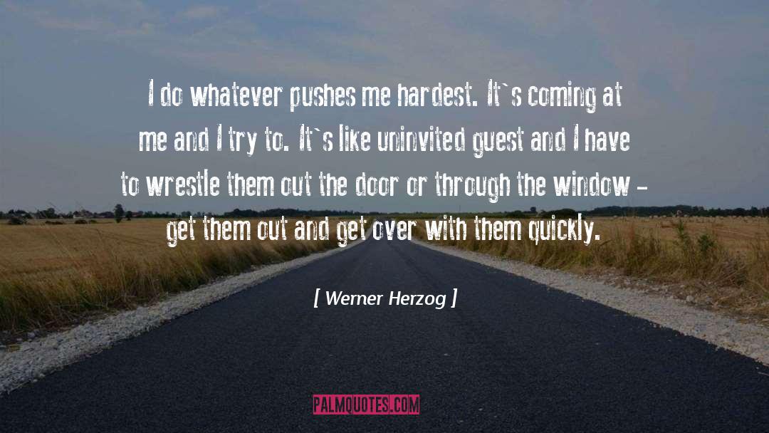 Get Over Yourself quotes by Werner Herzog