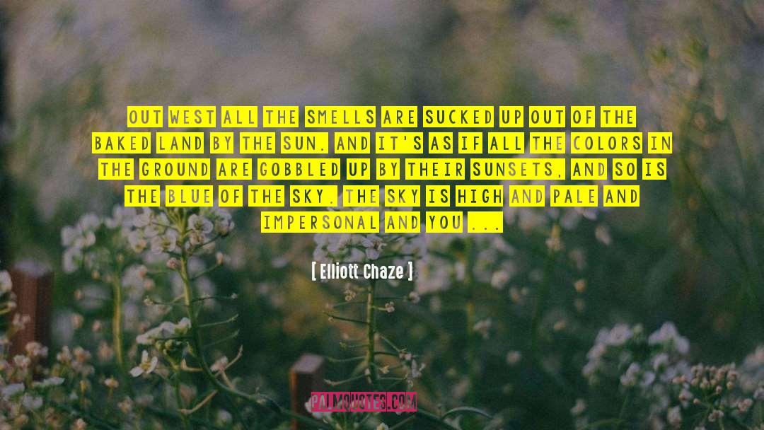 Get Rich Quick quotes by Elliott Chaze
