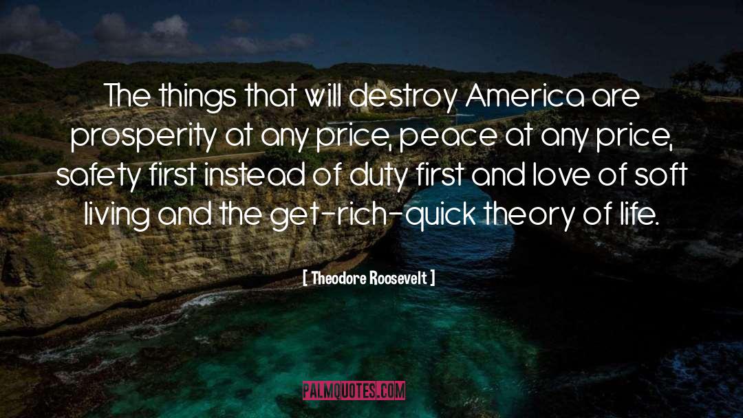 Get Rich Quick quotes by Theodore Roosevelt