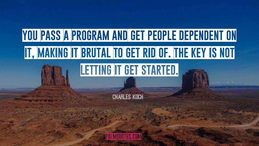 Get Started Now quotes by Charles Koch