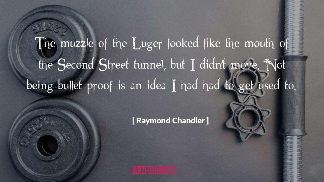 Get Used To quotes by Raymond Chandler