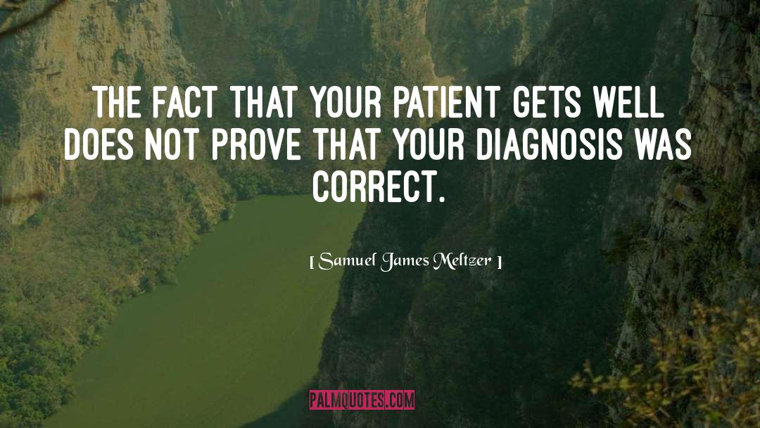 Get Well quotes by Samuel James Meltzer