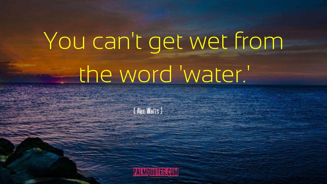Get Wet quotes by Alan Watts