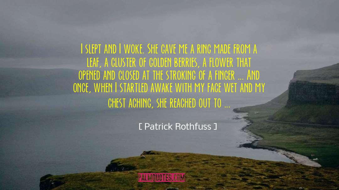 Get Wet quotes by Patrick Rothfuss