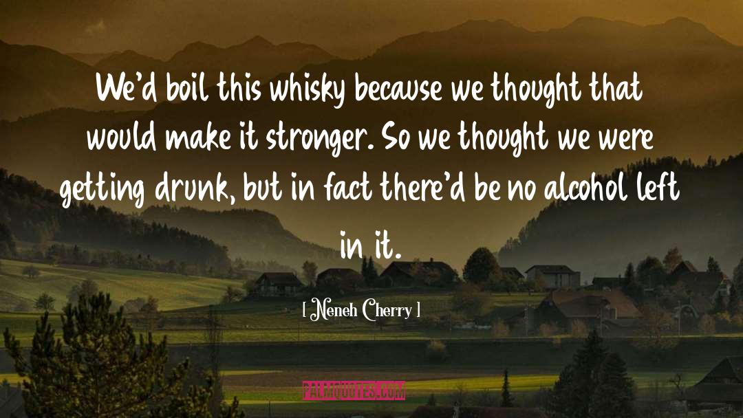 Getting Drunk quotes by Neneh Cherry