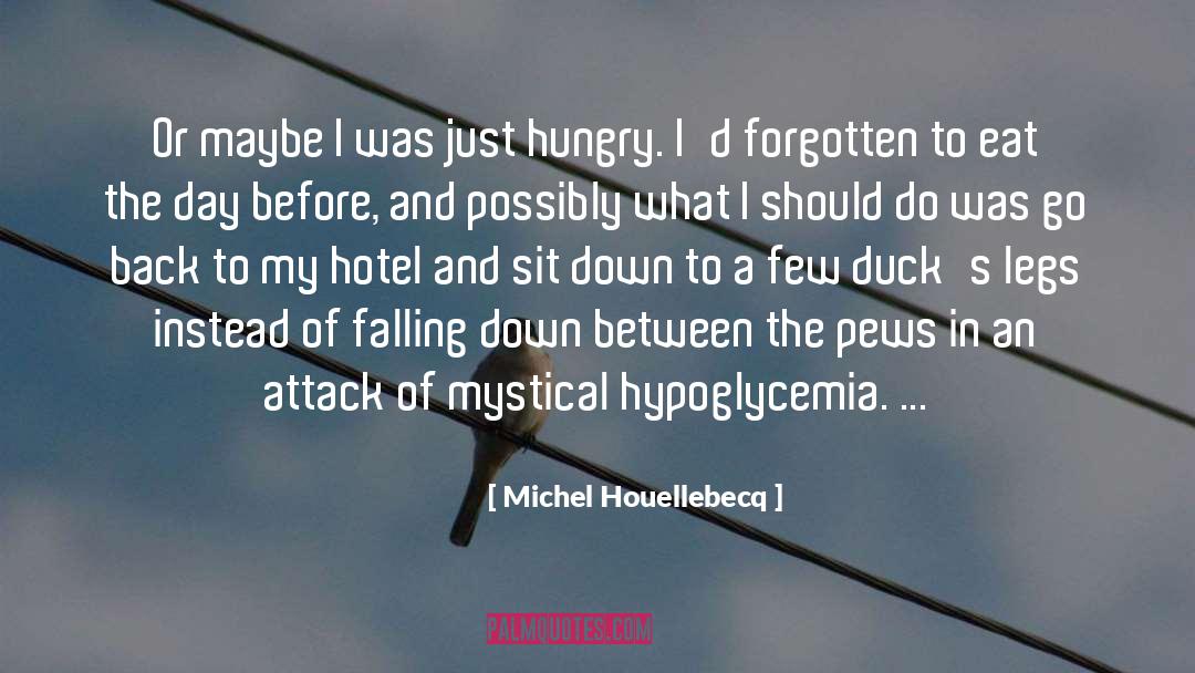 Getting Ducks In A Row quotes by Michel Houellebecq