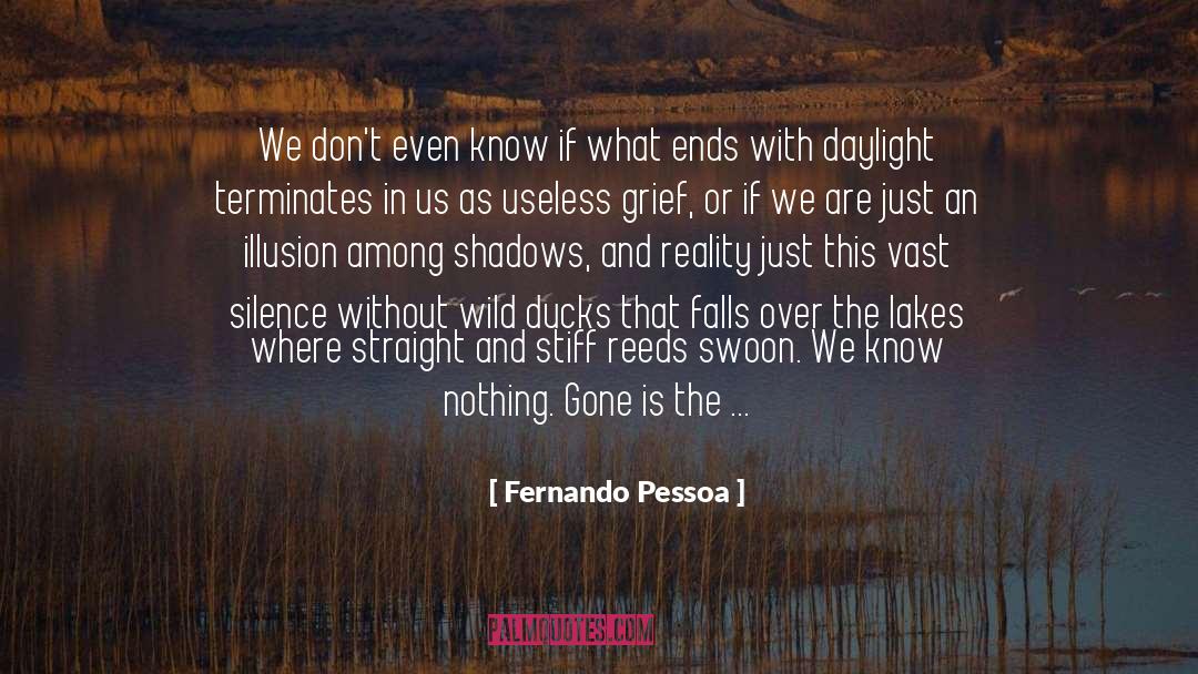 Getting Ducks In A Row quotes by Fernando Pessoa