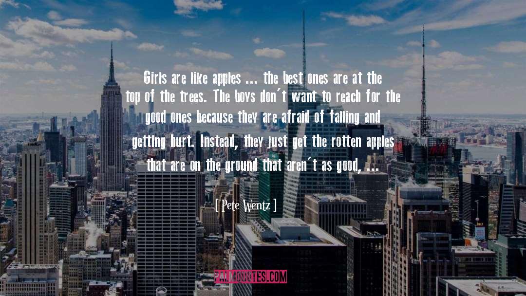 Getting Hurt quotes by Pete Wentz