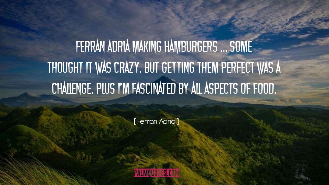 Getting It Done quotes by Ferran Adria