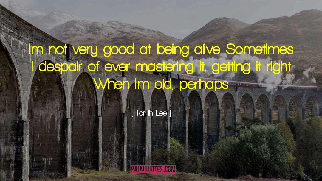 Getting It Right quotes by Tanith Lee