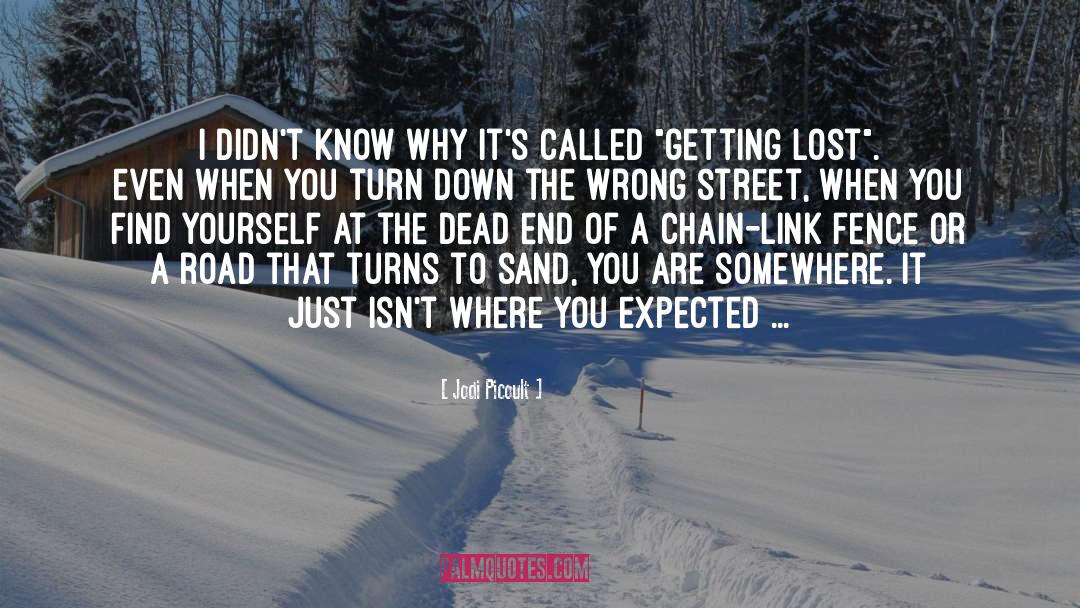 Getting Lost quotes by Jodi Picoult