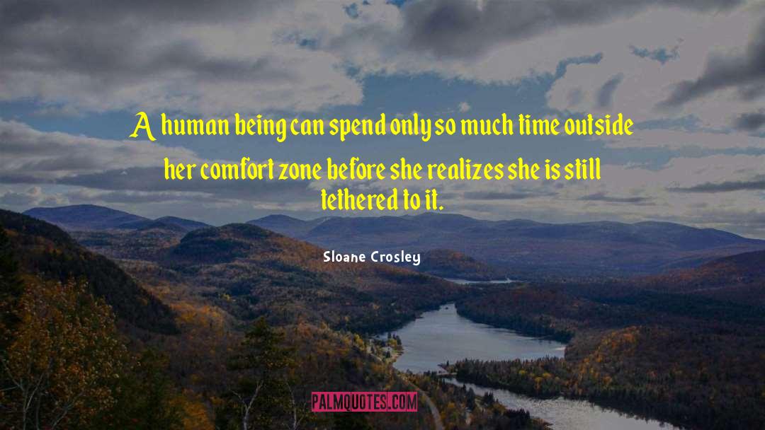 Getting Out Of Comfort Zone Quote quotes by Sloane Crosley
