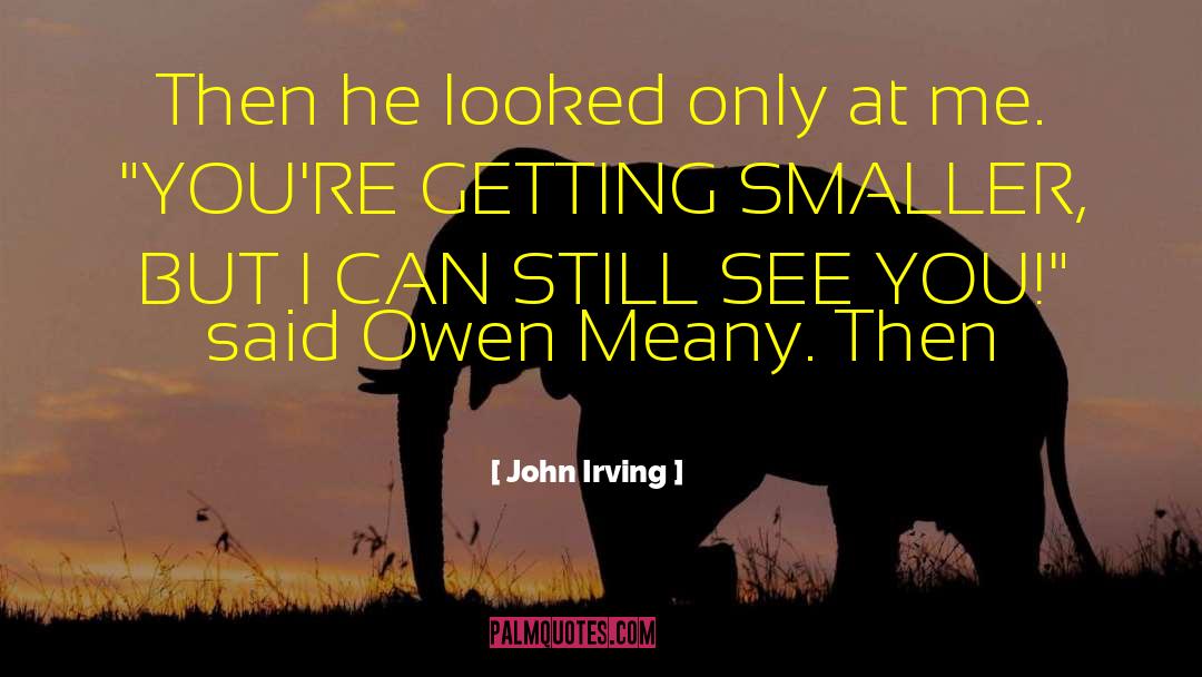 Getting Rich quotes by John Irving