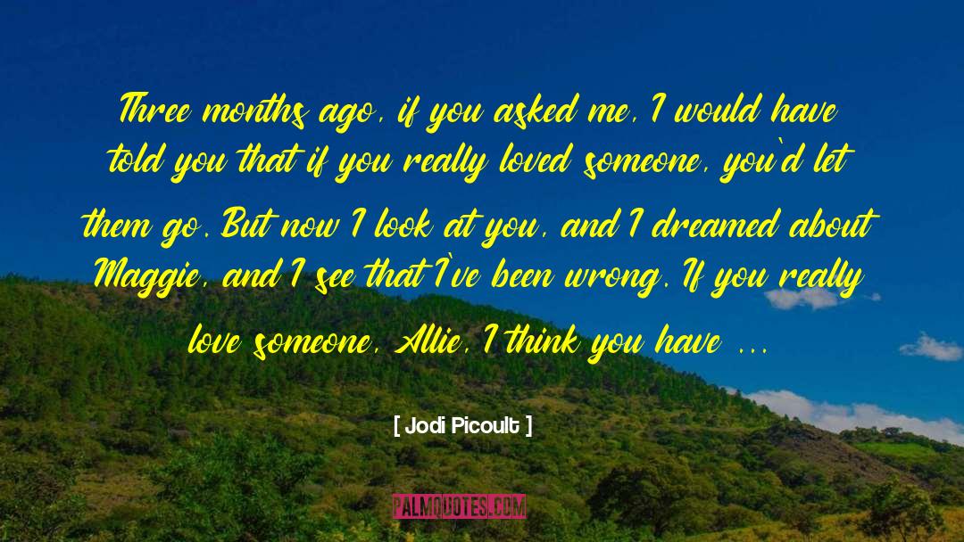Getting Someone You Love Back quotes by Jodi Picoult