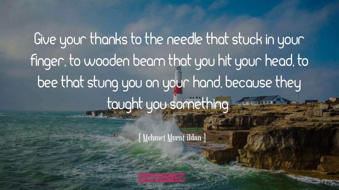 Getting Stuck In Your Head quotes by Mehmet Murat Ildan