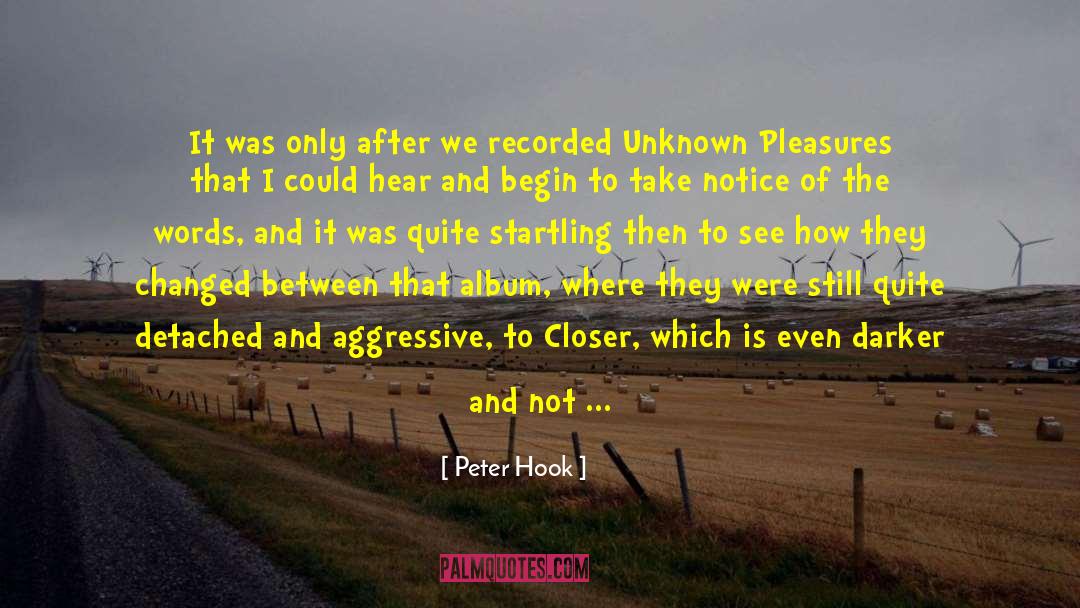 Getting What You See quotes by Peter Hook