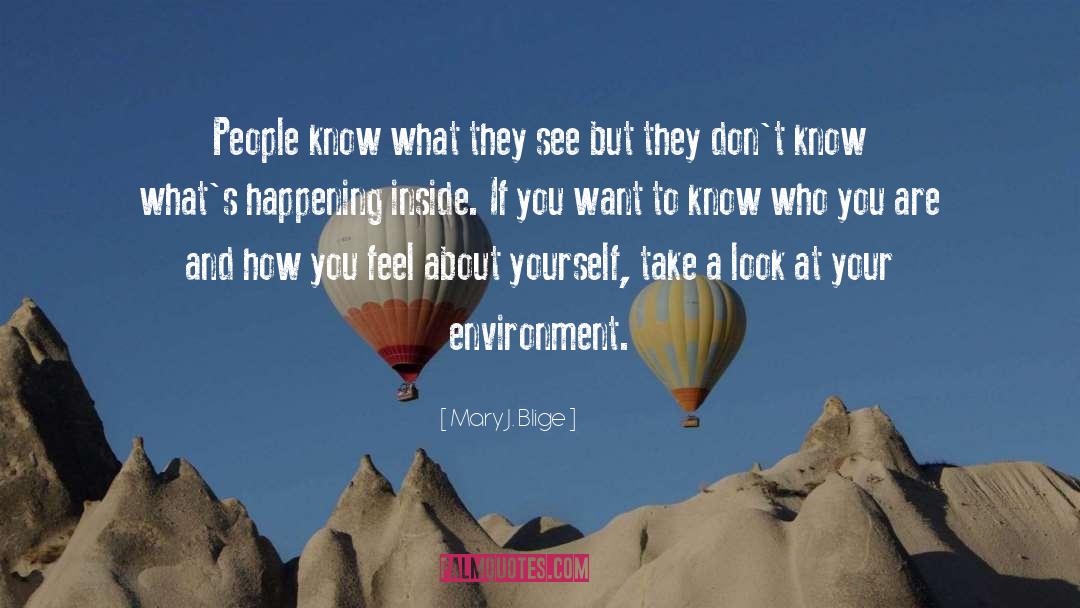 Getting What You Want quotes by Mary J. Blige