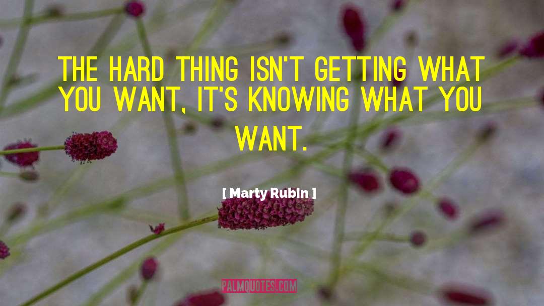 Getting What You Want quotes by Marty Rubin
