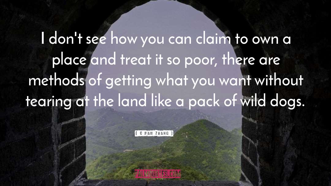 Getting What You Want quotes by C Pam Zhang