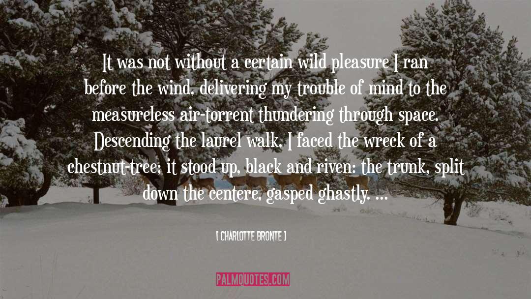 Ghastly Bespoke quotes by Charlotte Bronte